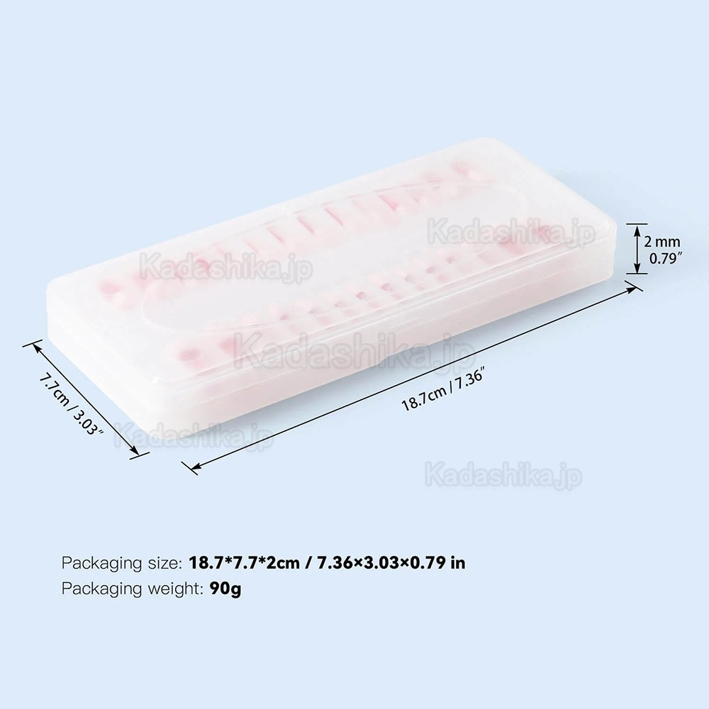 28個/セット 歯科用タイポドント歯 根管治療練習モデル